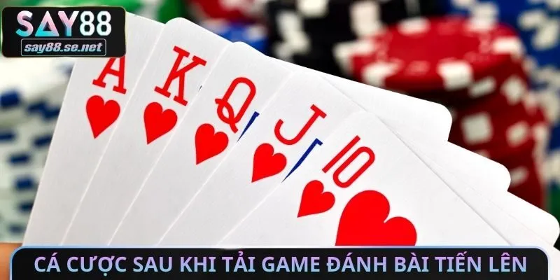 Cá cược sau khi tải Game đánh bài tiến lên Online​